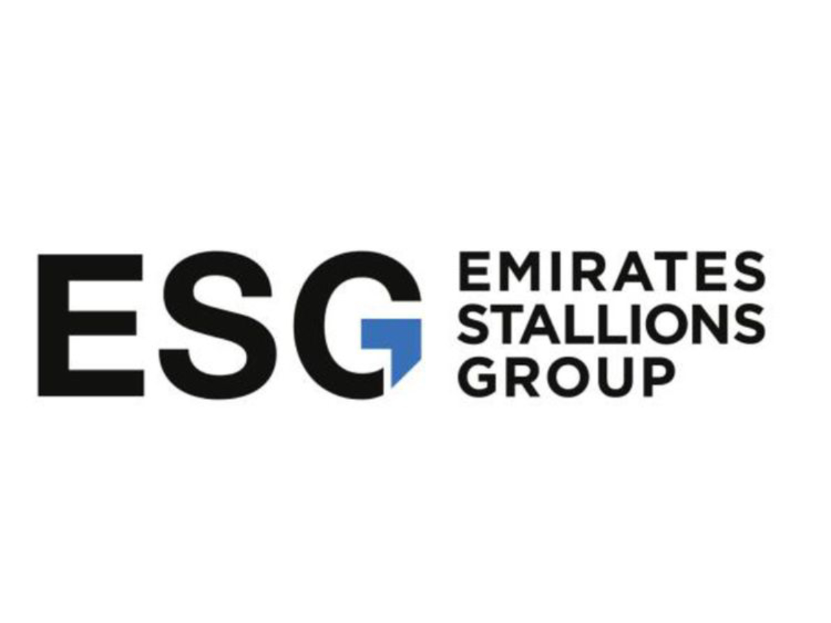 Emirates Stallions Group