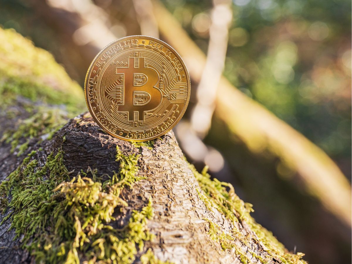 Bitcoin crypto sustainability