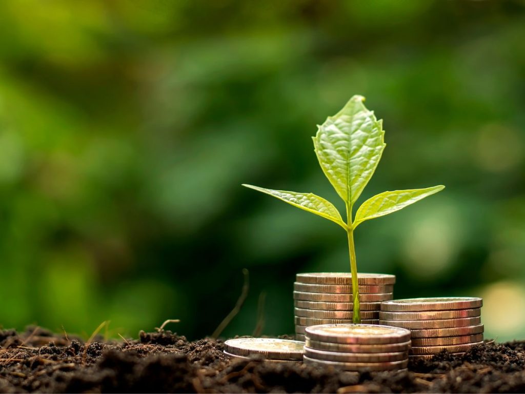 Green finance, sustainability