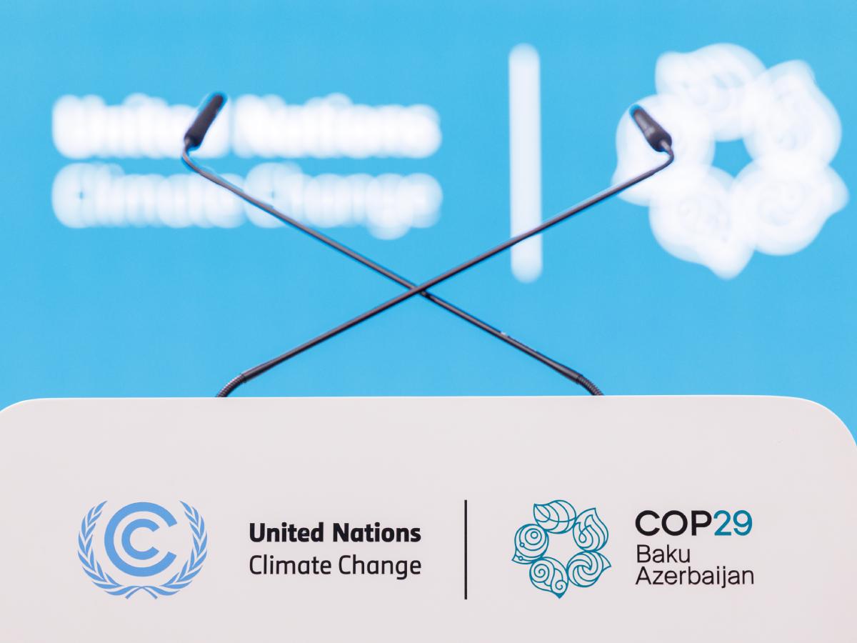 COP29