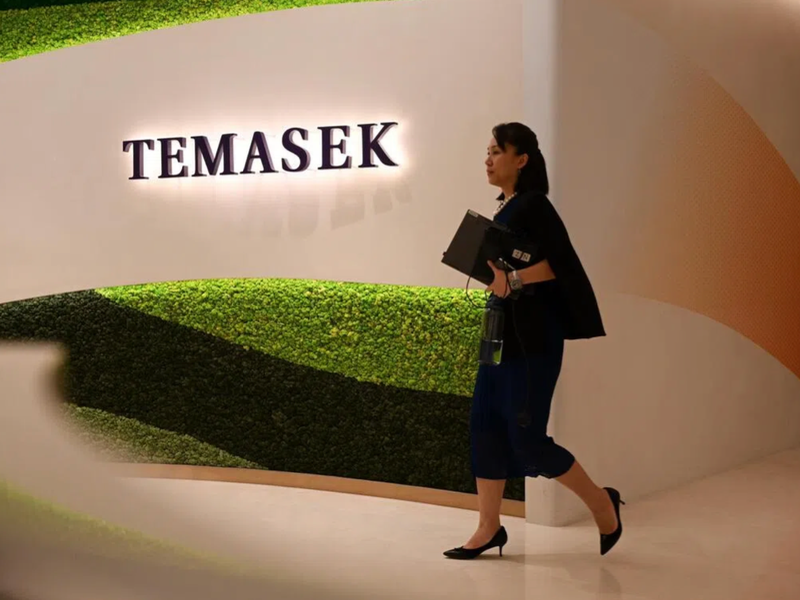 Temasek is 100% owned by Singapore's Ministry of Finance