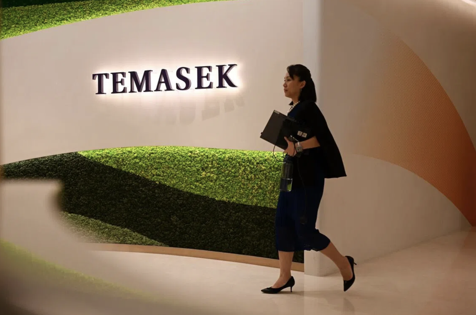 Temasek is 100% owned by Singapore's Ministry of Finance